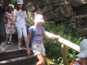 IMG 6268