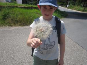 IMG 6318